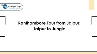 Ranthambore Tour from Jaipur Jaipur to Jungle
