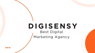 DigiSensy- WEB DESIGN COMPANY IN LUCKNOW