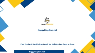 Find the Best Double Dog Leash for Walking Two Dogs at Once