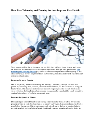 How Tree Trimming and Pruning Services Improve Tree Health