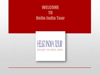 Delhi Agra Jaipur Tours | Hello India Tour