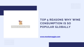 Top 5 Reasons Why Wine Consumption is So Popular Globally