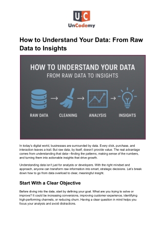 How to Understand Your Data_ From Raw Data to Insights