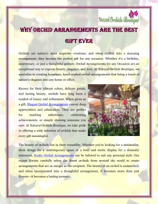 why orchid arrangements are the best why orchid