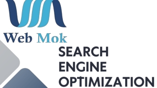 SEARCH ENGINE OPTIMIZATION IN ROHTAK