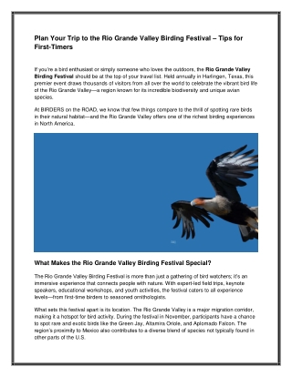 Rio Grande Valley Birding Festival 2025 - Premier Birdwatching Event