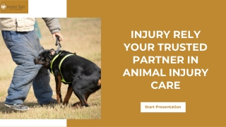 Injury Rely - Your Trusted Partner in Animal Injury Care