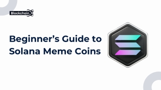 Beginner’s Guide to Solana Meme Coins ppt