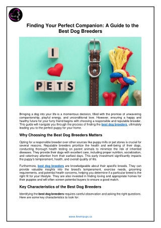 Finding Your Perfect Companion: A Guide to the Best Dog Breeders