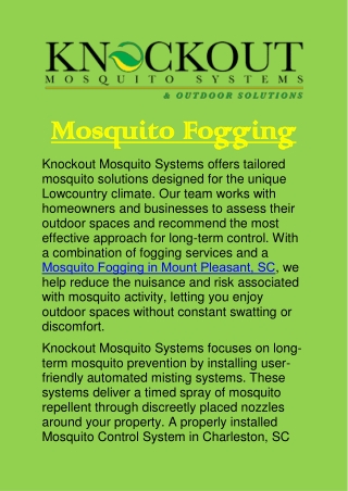 Mosquito Fogging in Mount Pleasant, SC: A Smarter Way to Control Pests