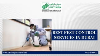 BEST PEST CONTROL SERVICES IN DUBAI