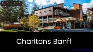 Your Guide to Hotels in Banff, Canada: Luxury to Budget Picks