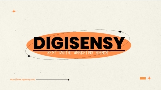 DigiSensy- Best Digital Marketing Agency in Lucknow