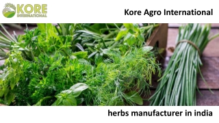 herbs manufacturer in india