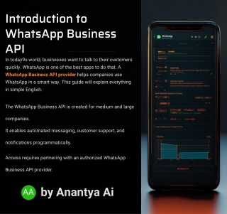 Whatsapp Business API Integration Platform | Anantya.ai