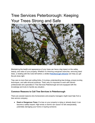 Tree Services Peterborough_ Keeping Your Trees Strong and Safe