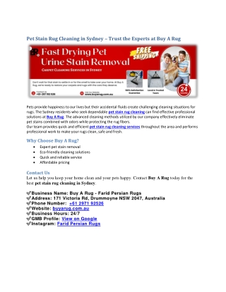 Pet Stain Rug Cleaning in Sydney – Trust the Experts at Buy A Rug