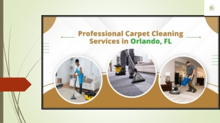 Professional Carpet Cleaning Services in Orlando