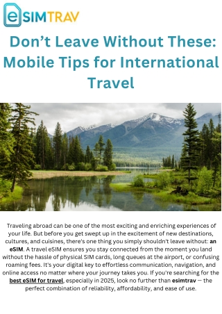 Don’t Leave Without These: Mobile Tips for International Travel