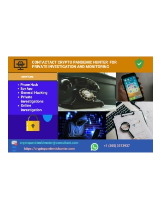 HIRE CRYPTO PANDEMIC HUNTER FOR ONLINE SPOUSE INVESTIGATION