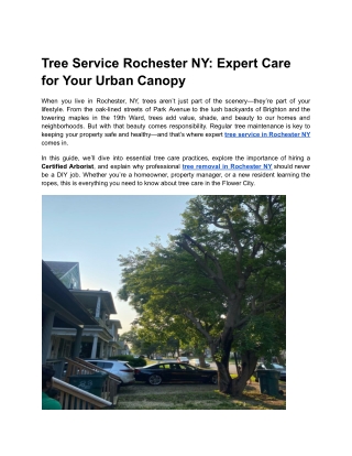 Tree Service Rochester NY_ Expert Care for Your Urban Canopy