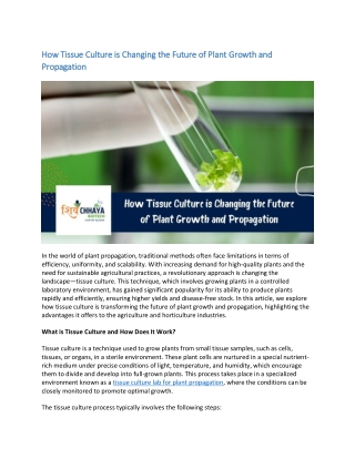 How Tissue Culture is Changing the Future of Plant Growth and Propagation