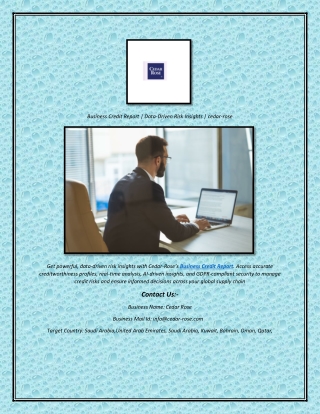 Business Credit Report | Data-Driven Risk Insights | cedar-rose