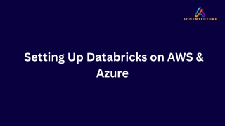 setting up databricks on aws azure
