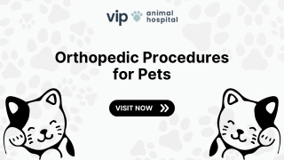 Trusted Orthopedic Procedures for Pets at VIP Animal Hospital