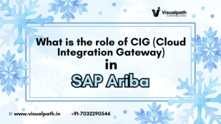 Sap Ariba Online Training Institutes in Hyderabad - India