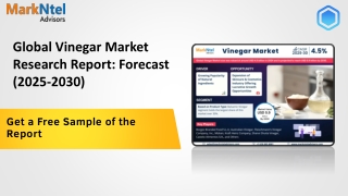Vinegar Market Insights, Share & Growth Trends 2025 to 2030