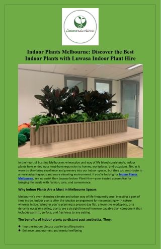 Indoor Plants Melbourne Discover the Best Indoor Plants with Luwasa Indoor Plant Hire
