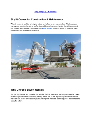 tong meng sky lift services