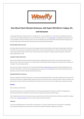 how wowi fytech elevates businesses with expert