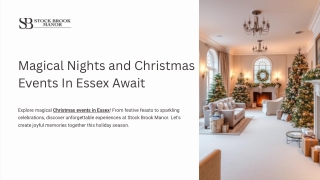 Magical Nights and Christmas Events In Essex Await