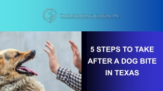 5 Steps to Take After a Dog Bite in Texas