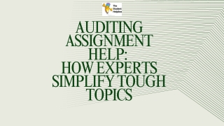 Auditing Assignment Help  How Experts Simplify Tough Topics