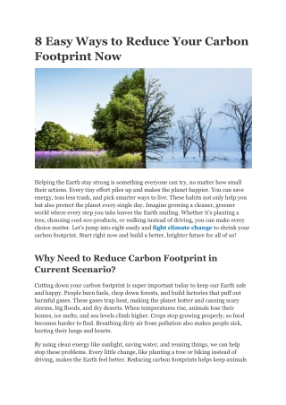 8 Easy Ways to Reduce Your Carbon Footprint Now