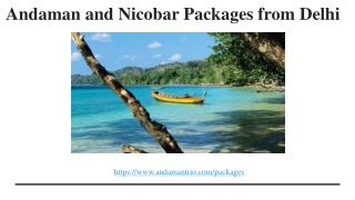 Andaman and Nicobar Packages from Delhi_