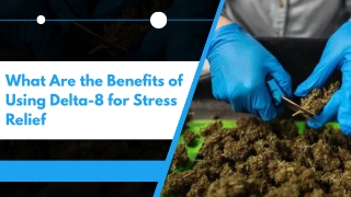 Gentler Alternatives to Traditional Cannabis Products