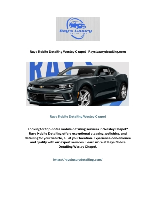 rays mobile detailing wesley chapel