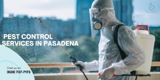 Reliable Pest Control Services in Pasadena | PasadenaPest