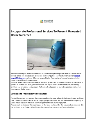 Incorporate Professional Services To Prevent Unwanted Harm To Carpet