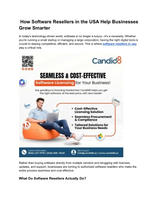 How Software Resellers in the USA Help Businesses Grow Smarter