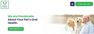 Reliable Dog Dental Care Services in Charleston, SC