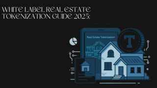 Real Estate Tokenization $