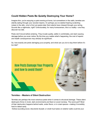 Could Hidden Pests Be Quietly Destroying Your Home