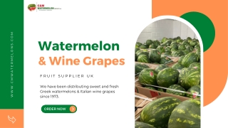Homemade Wine Making Supplies in UK | C&M Watermelon Imports