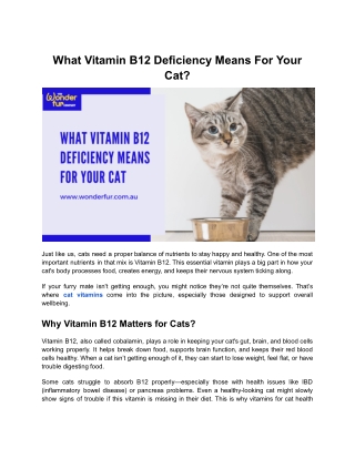 What Vitamin B12 Deficiency Means For Your Cat