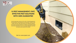 VJ Pest Management Fast, Effective Pest Solutions with 100% Guarantee!